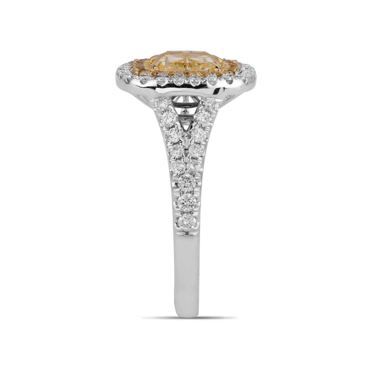 18KWG Cushion Shape Double Halo Ring