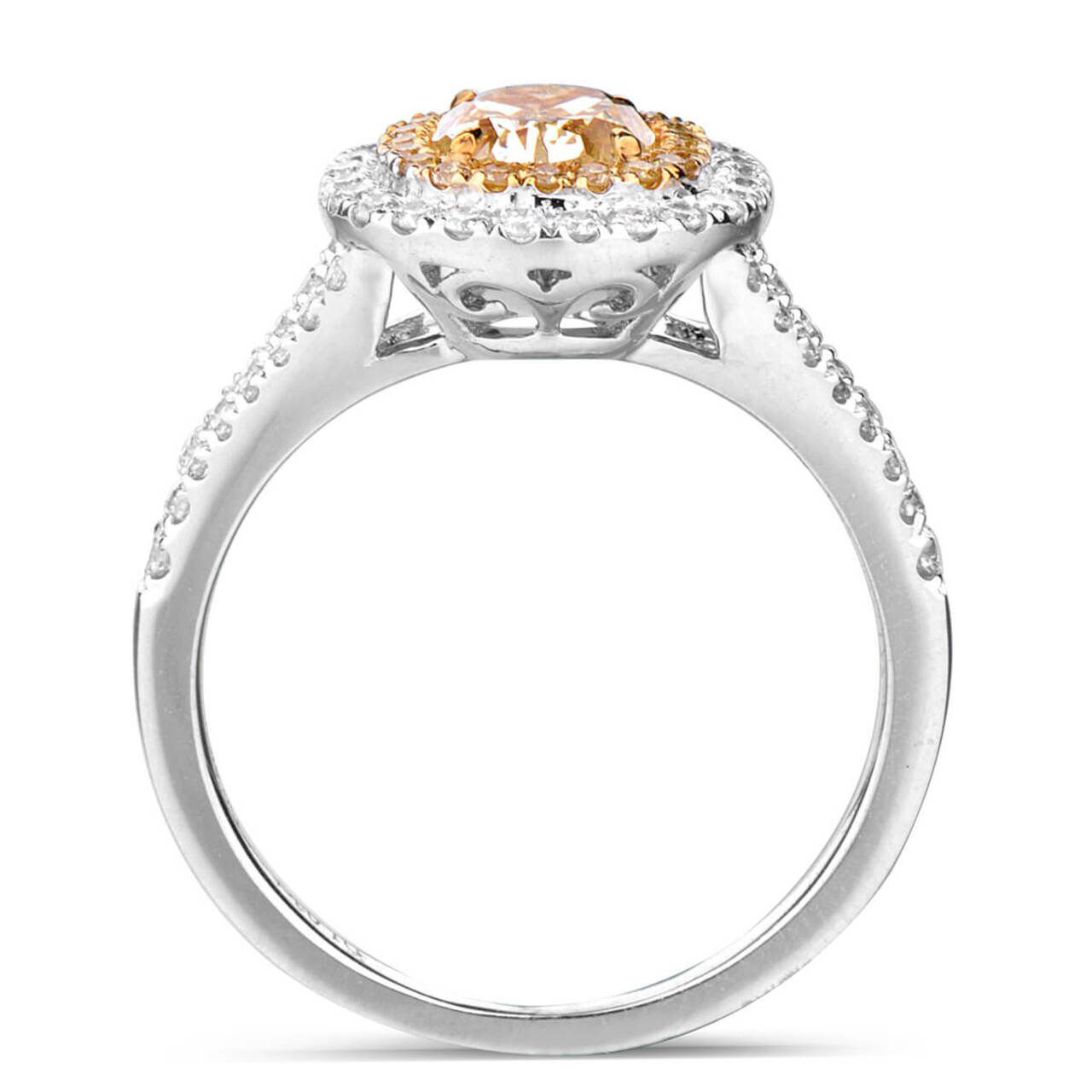 18KWG Cushion Shape Double Halo Pave Split Shank Ring