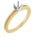 14K Yellow/White Gold 4.1 mm Round Engagement Ring Mounting