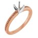 14K Rose/White Gold 4.8 mm Round Engagement Ring Mounting