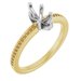 14K Yellow/White Gold 8x4 mm Marquise Engagement Ring Mounting